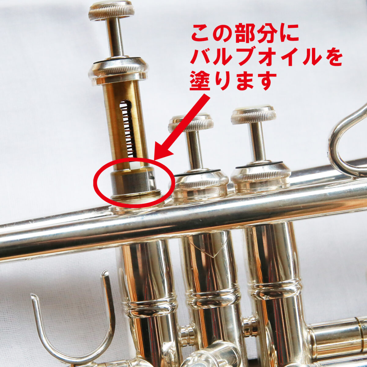 バルブオイルを塗る場所